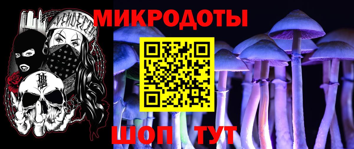 Галлюциногенные грибы Cubensis  Берёзовский 