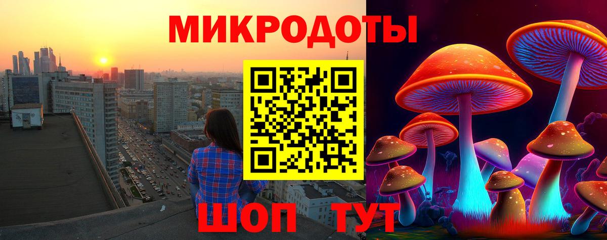 Галлюциногенные грибы Cubensis Берёзовский